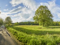 Natuur van Winterswijk